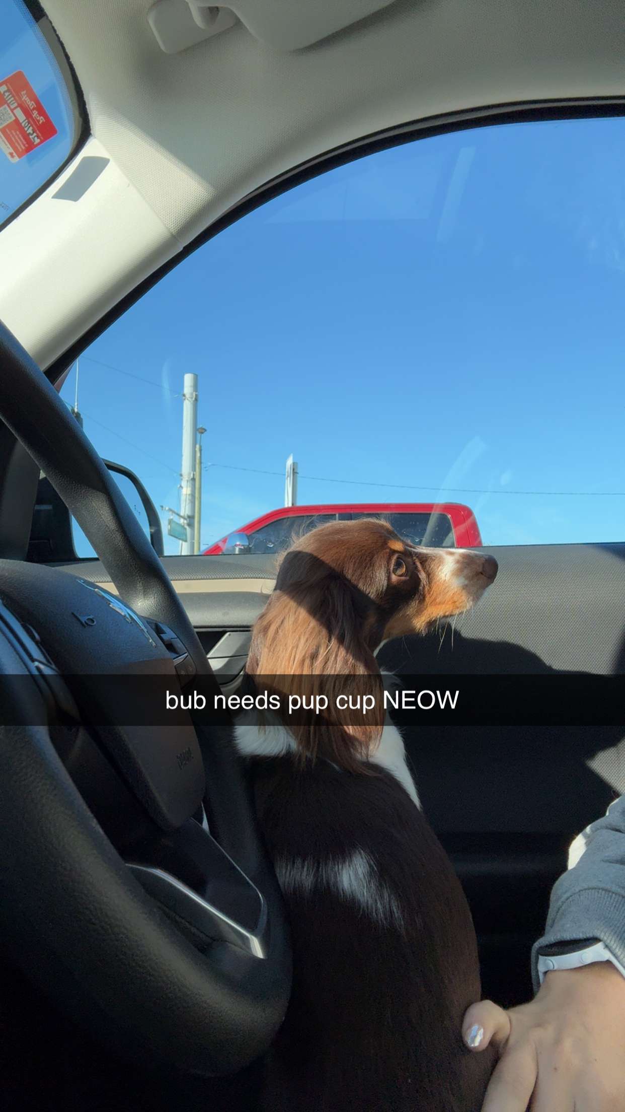 fionamaefit snapchat image archive image