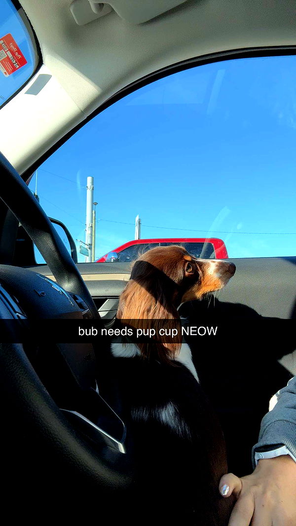 fionamaefit image ~ Altpins