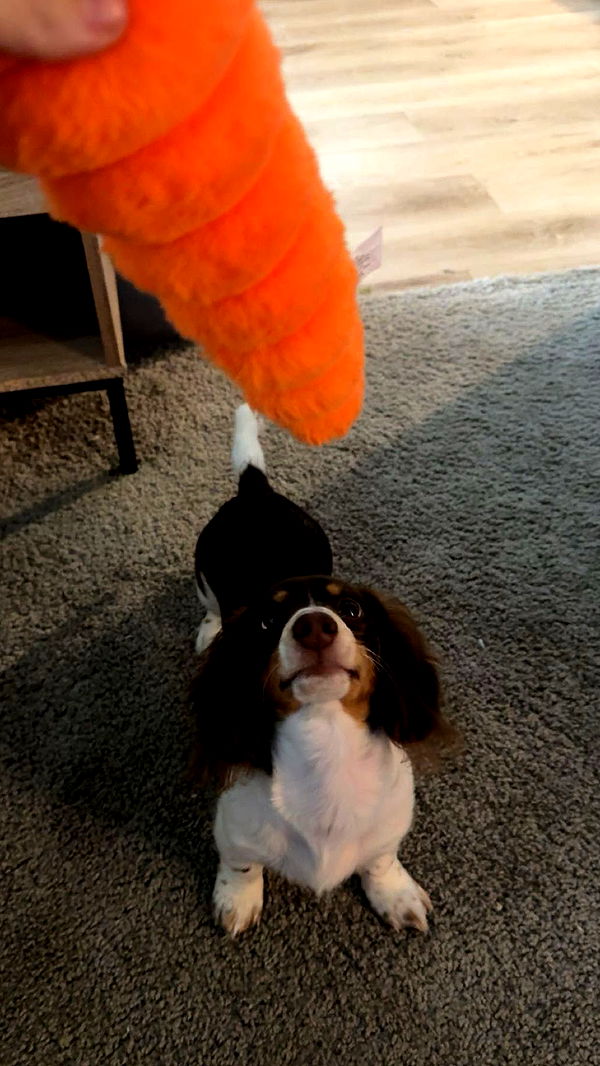 fionamaefit image ~ Altpins