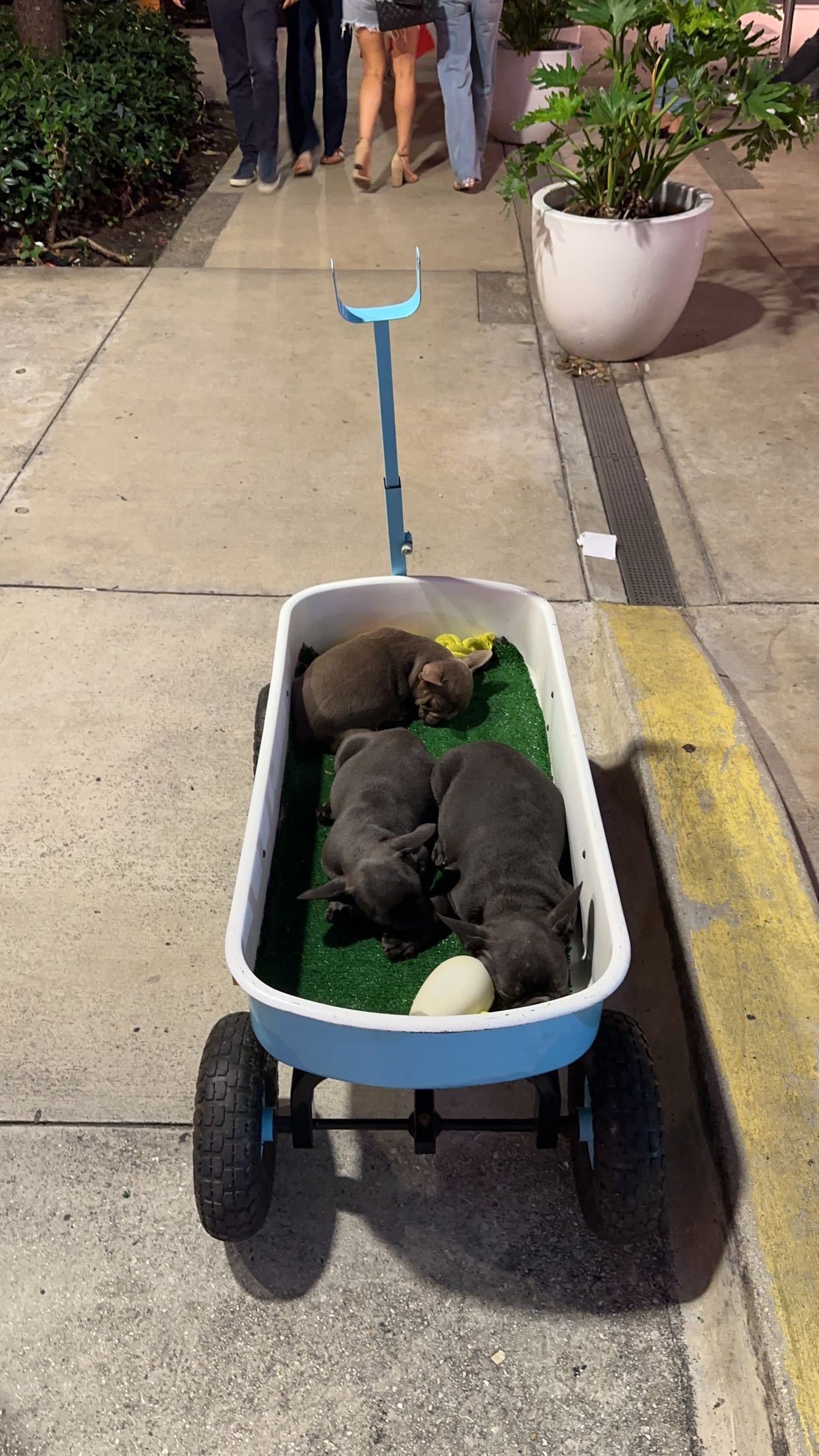 gabannalisa snapchat image archive image