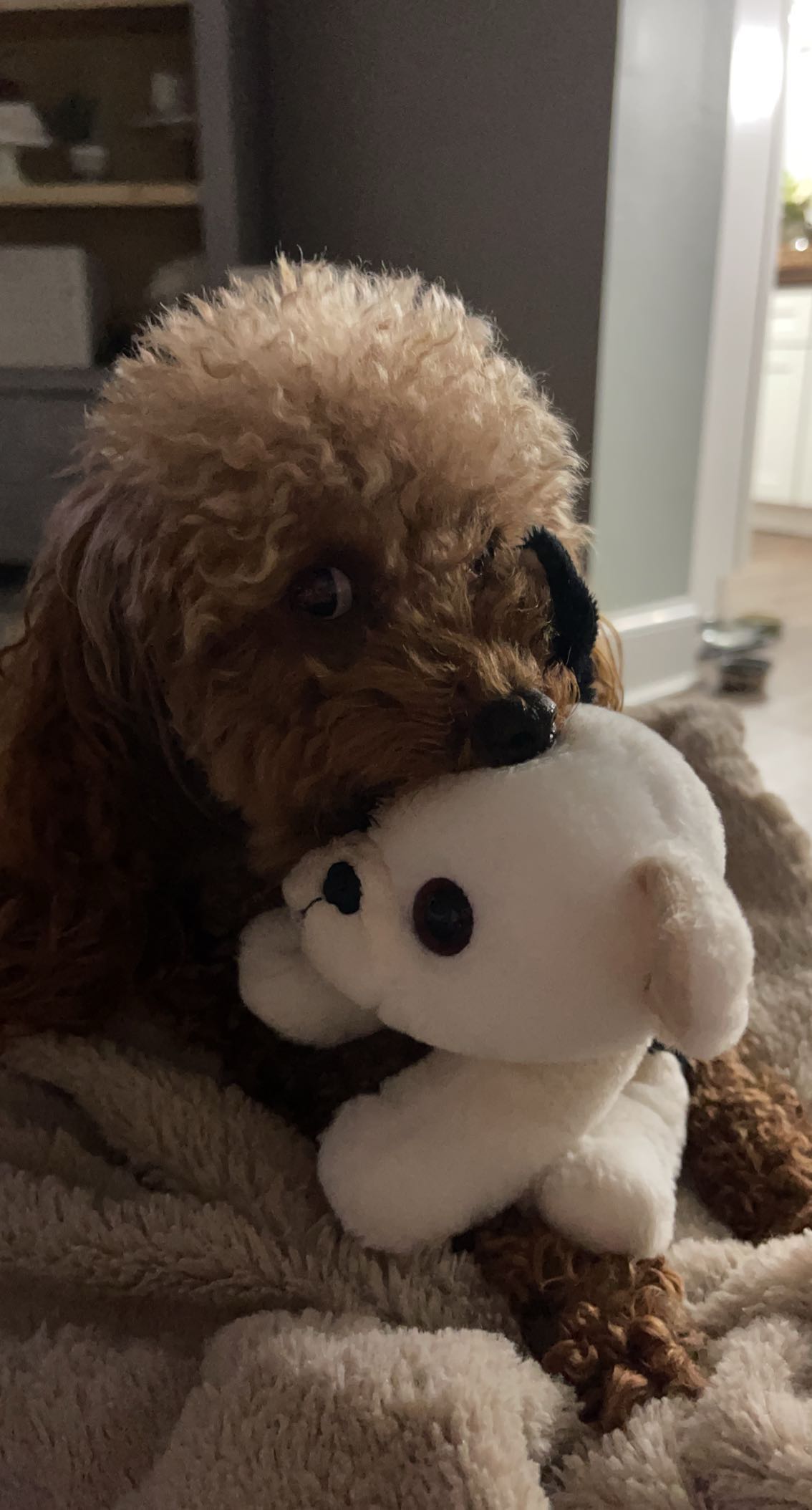 gabannalisa snapchat image archive image