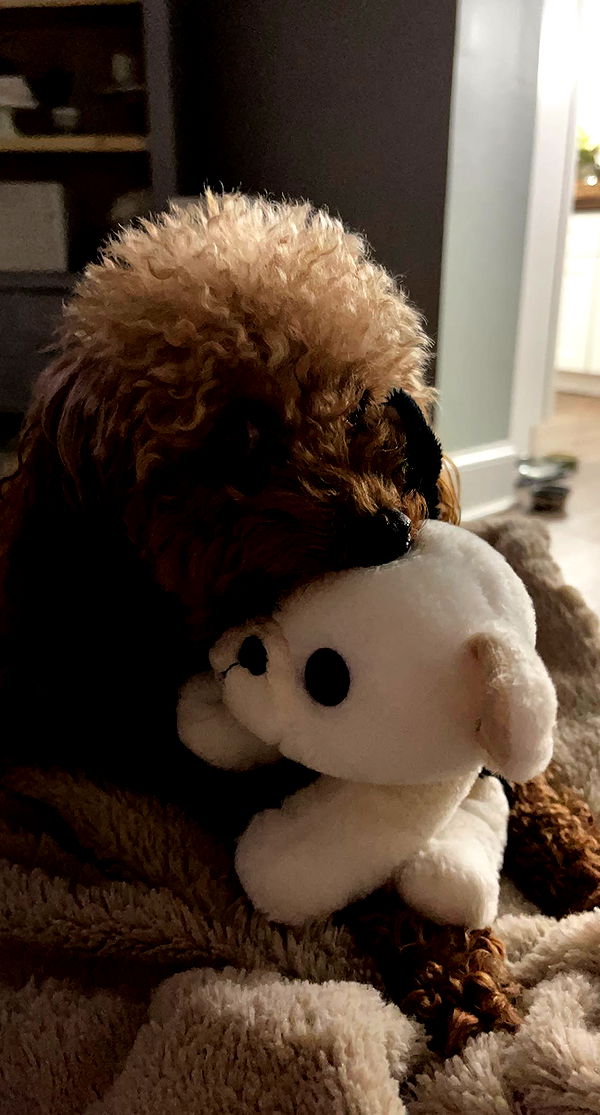 gabannalisa image ~ Altpins