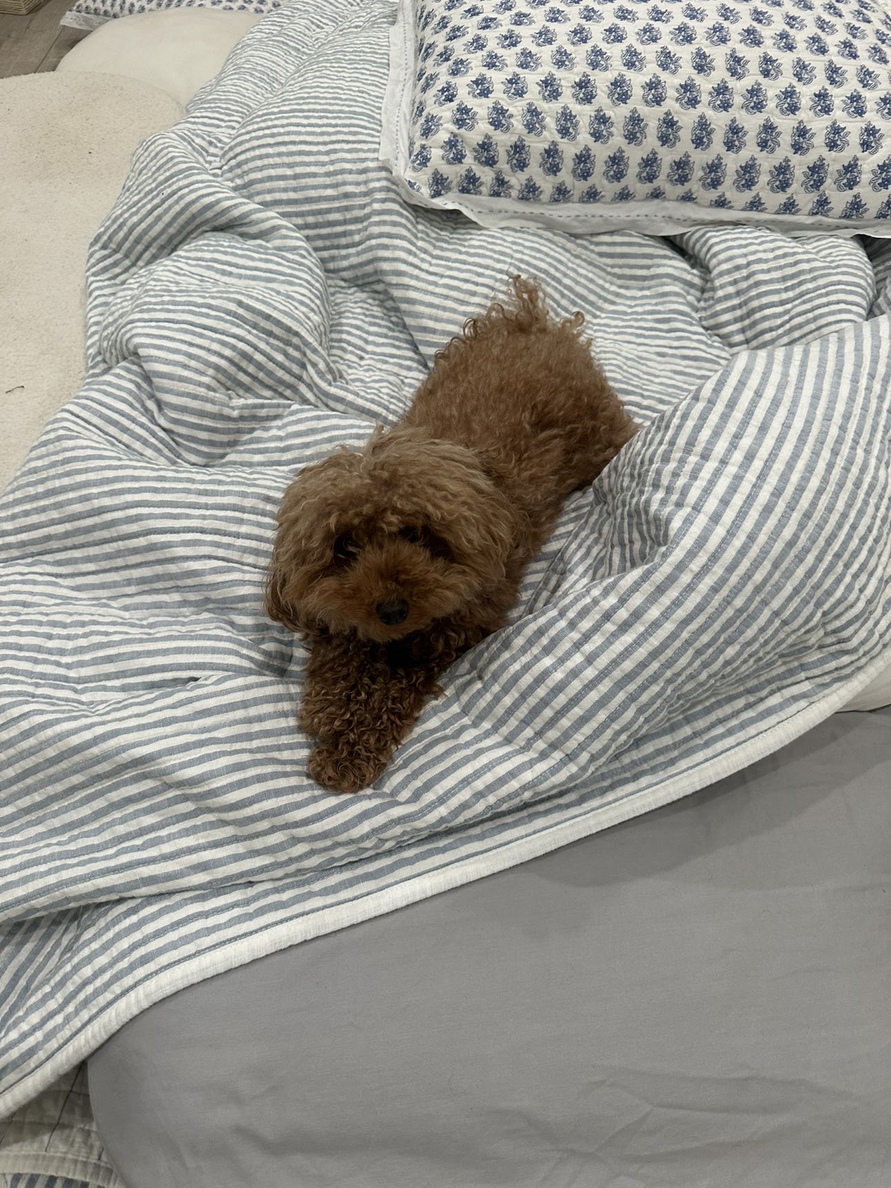 gabannalisa snapchat image archive image