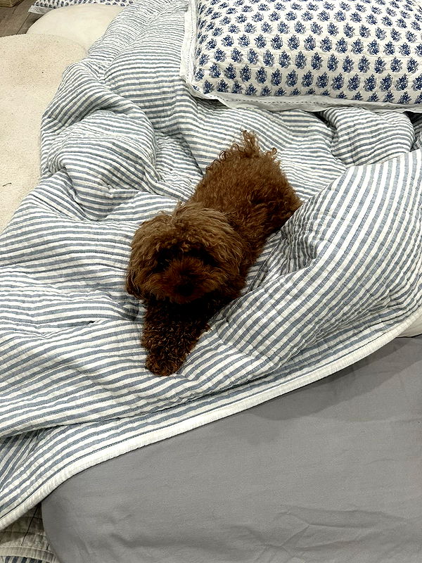 gabannalisa image ~ Altpins