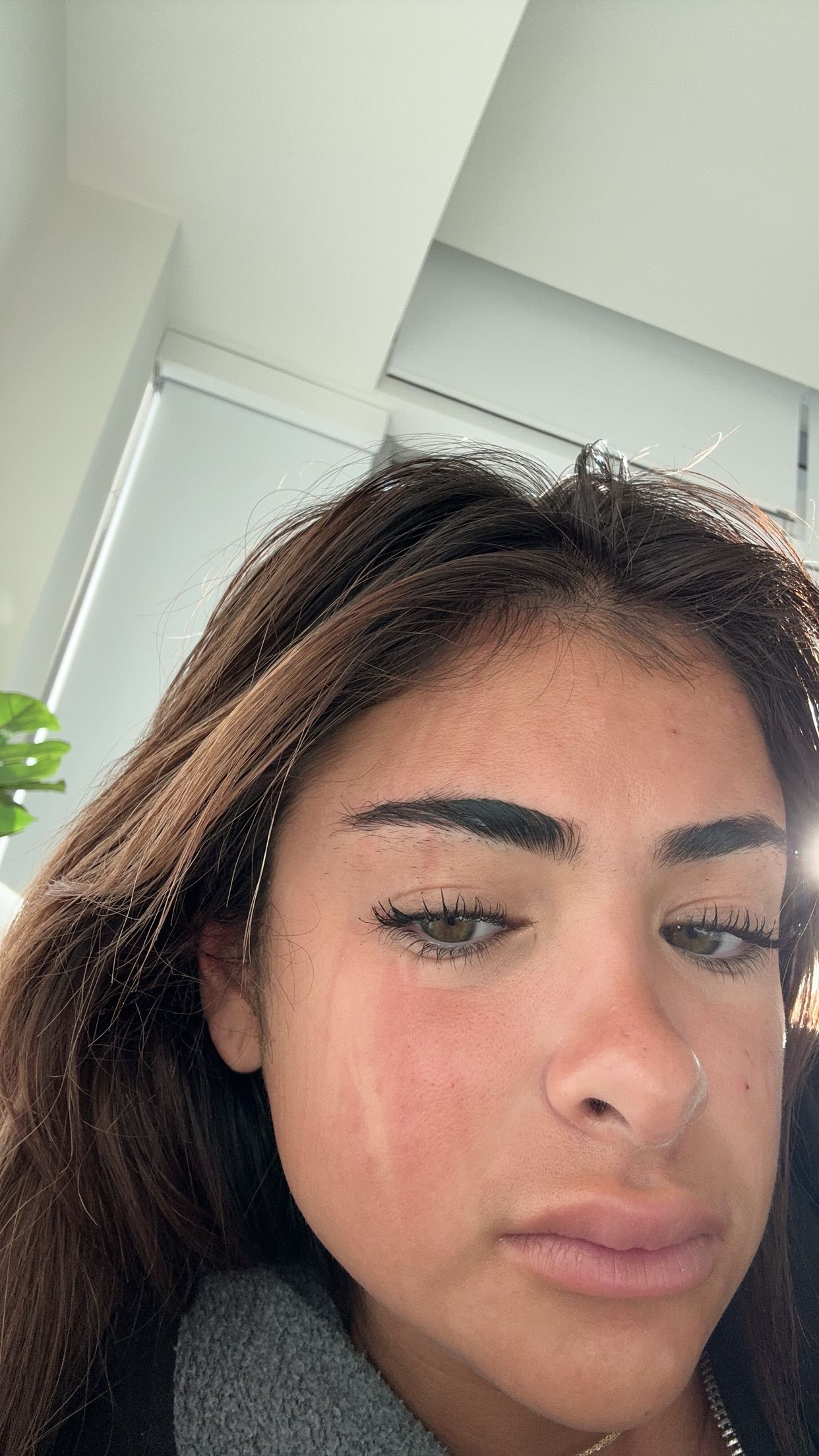 gabannalisa snapchat image archive image