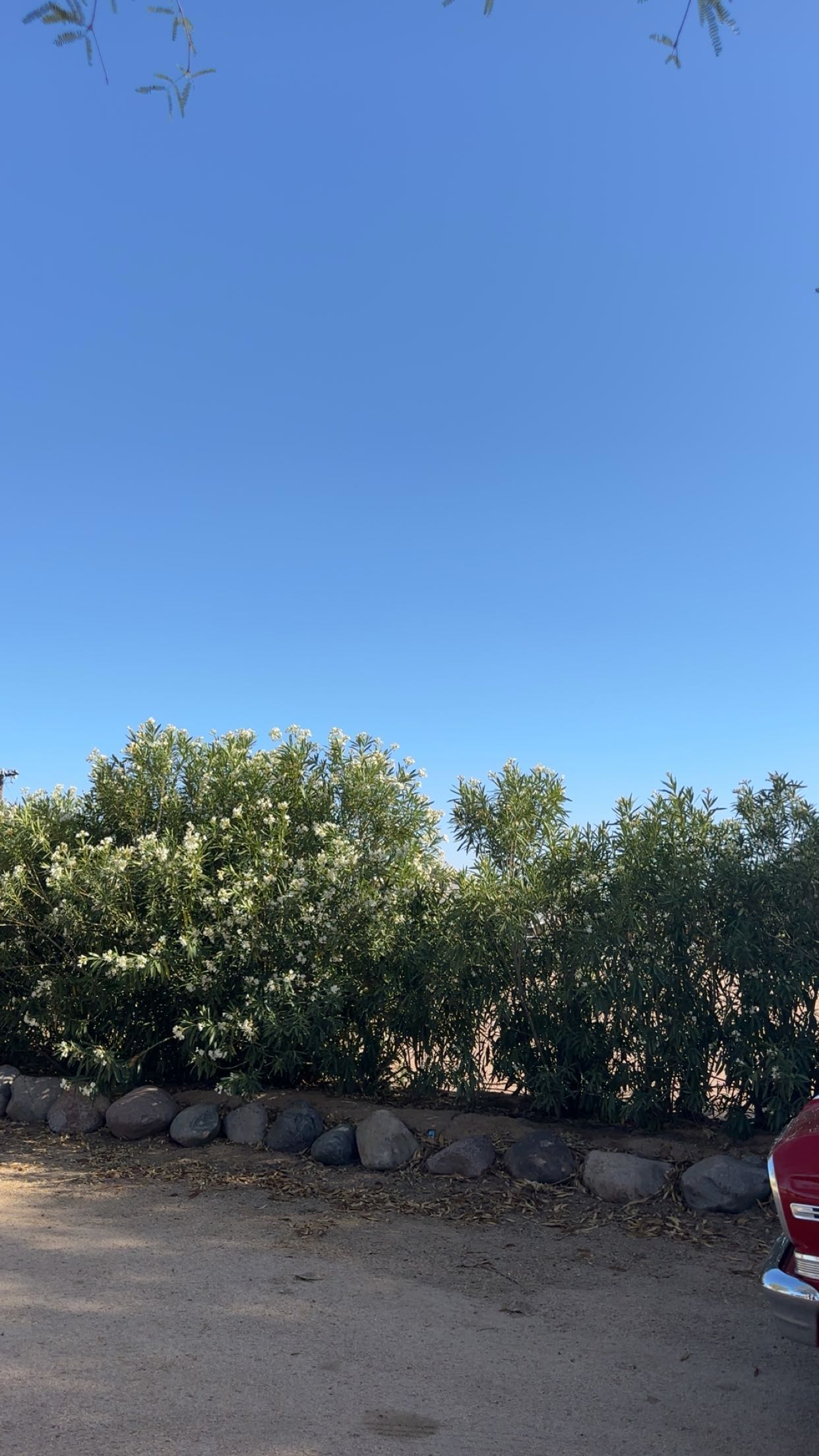 gabannalisa snapchat image archive image