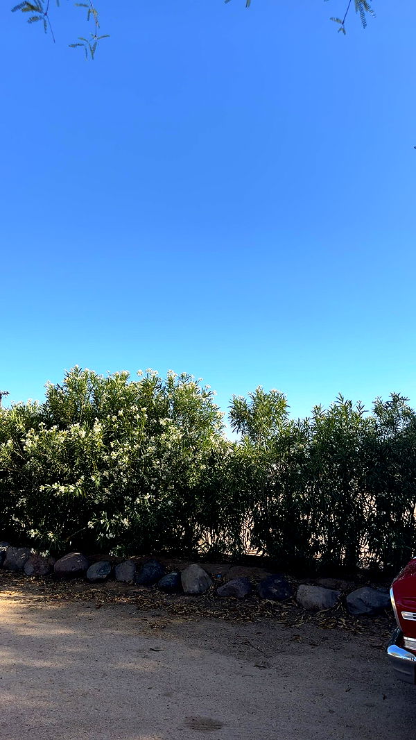 gabannalisa image ~ Altpins