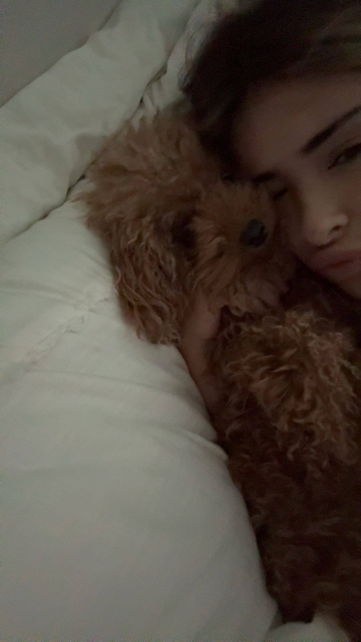 gabannalisa snapchat image archive image