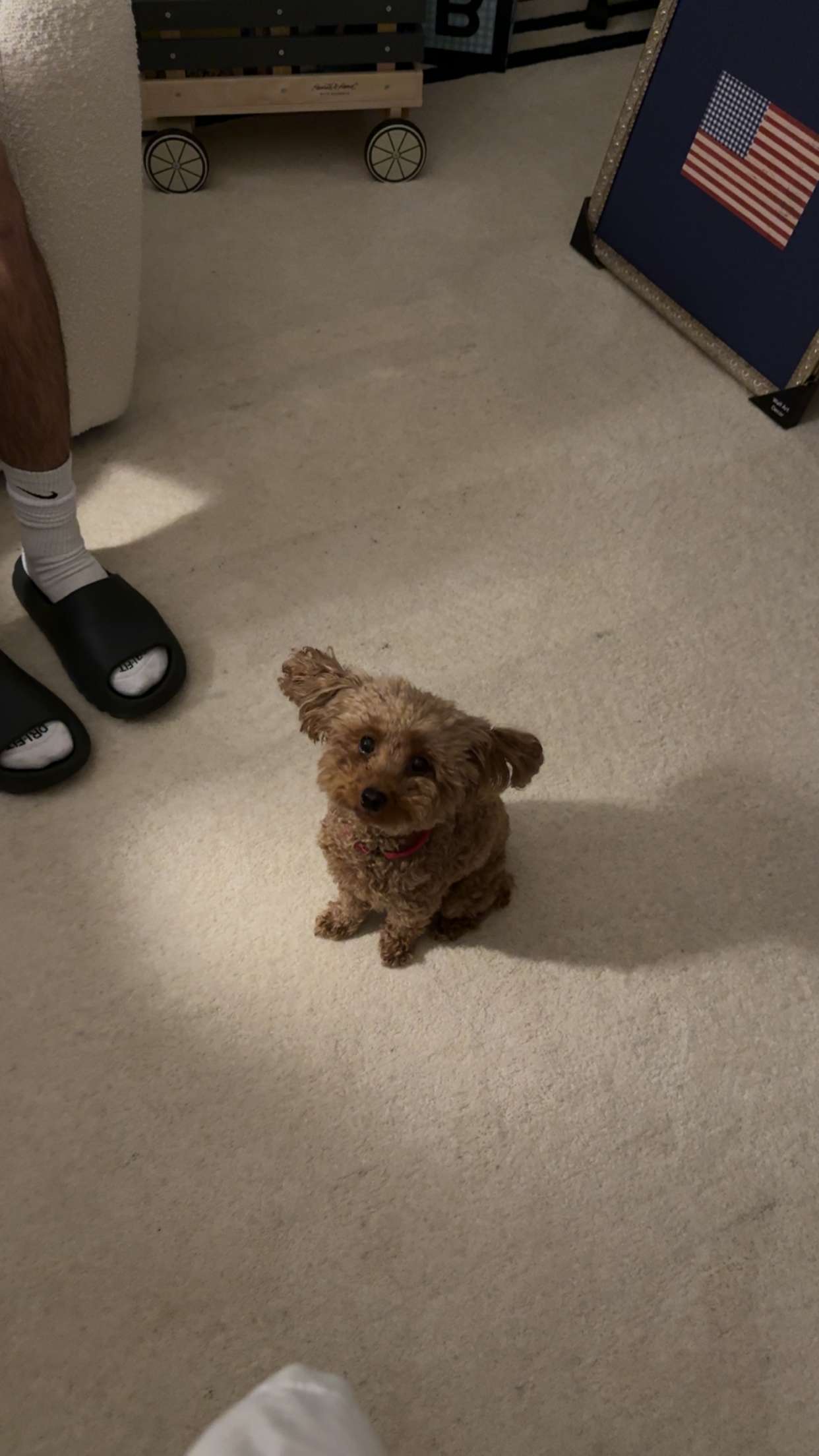 gabannalisa snapchat image archive image