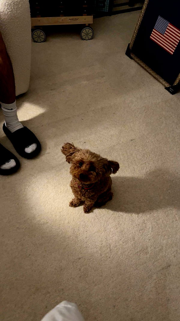 gabannalisa image ~ Altpins