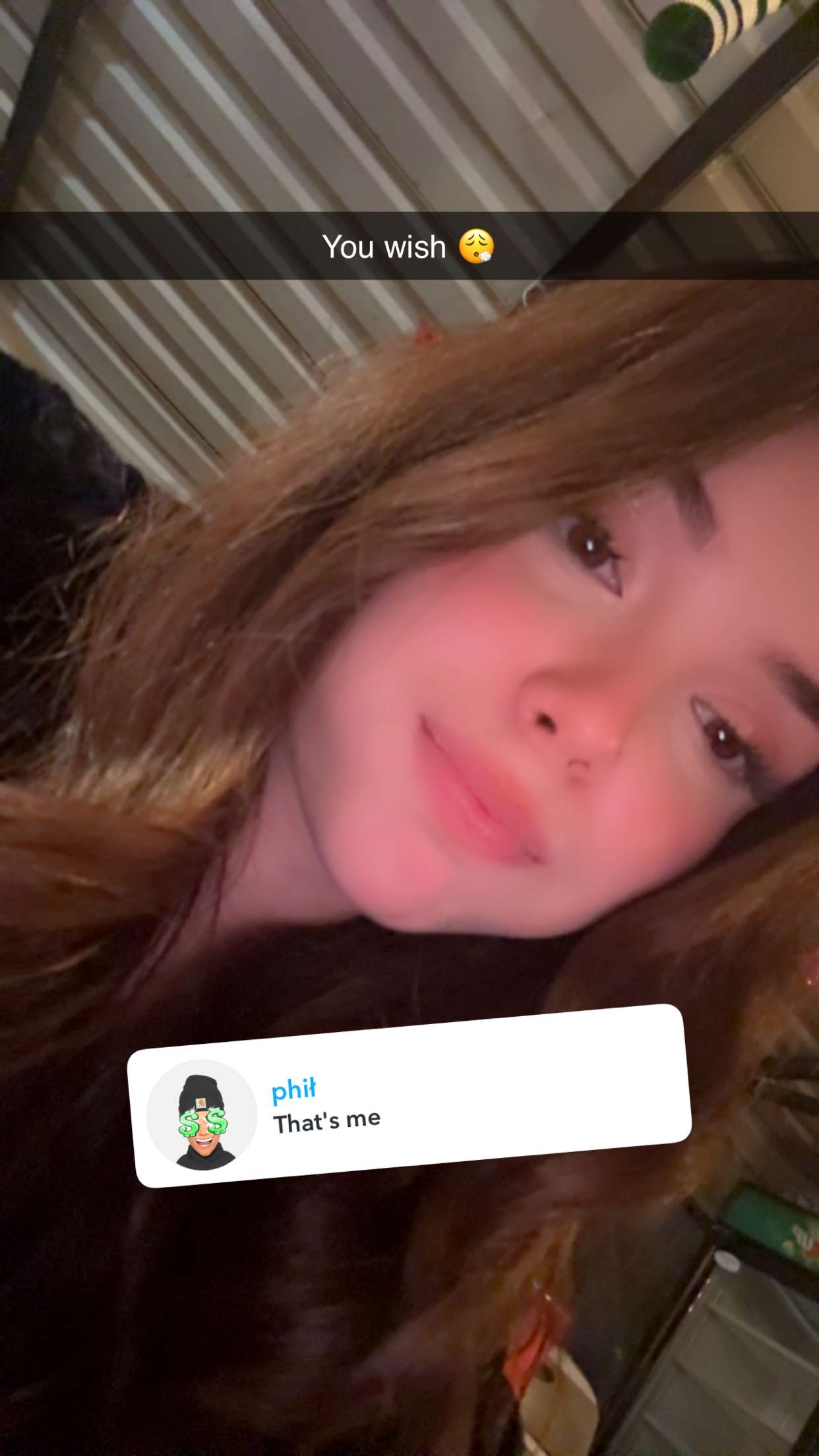 giselleramh snapchat image archive image