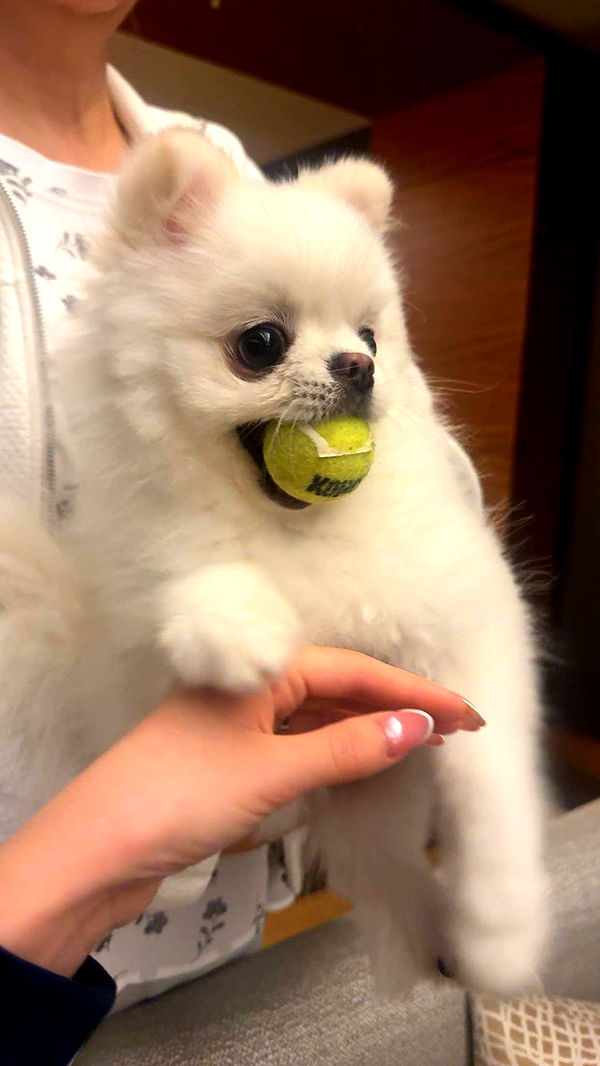 giselleramh image ~ Altpins