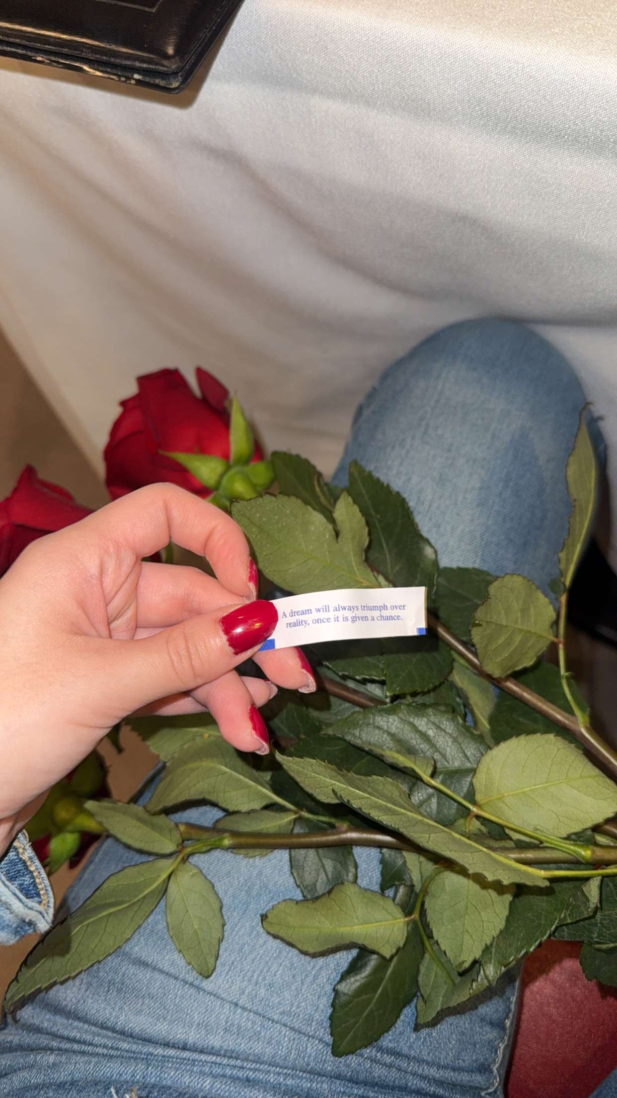 giselleramh snapchat image archive image