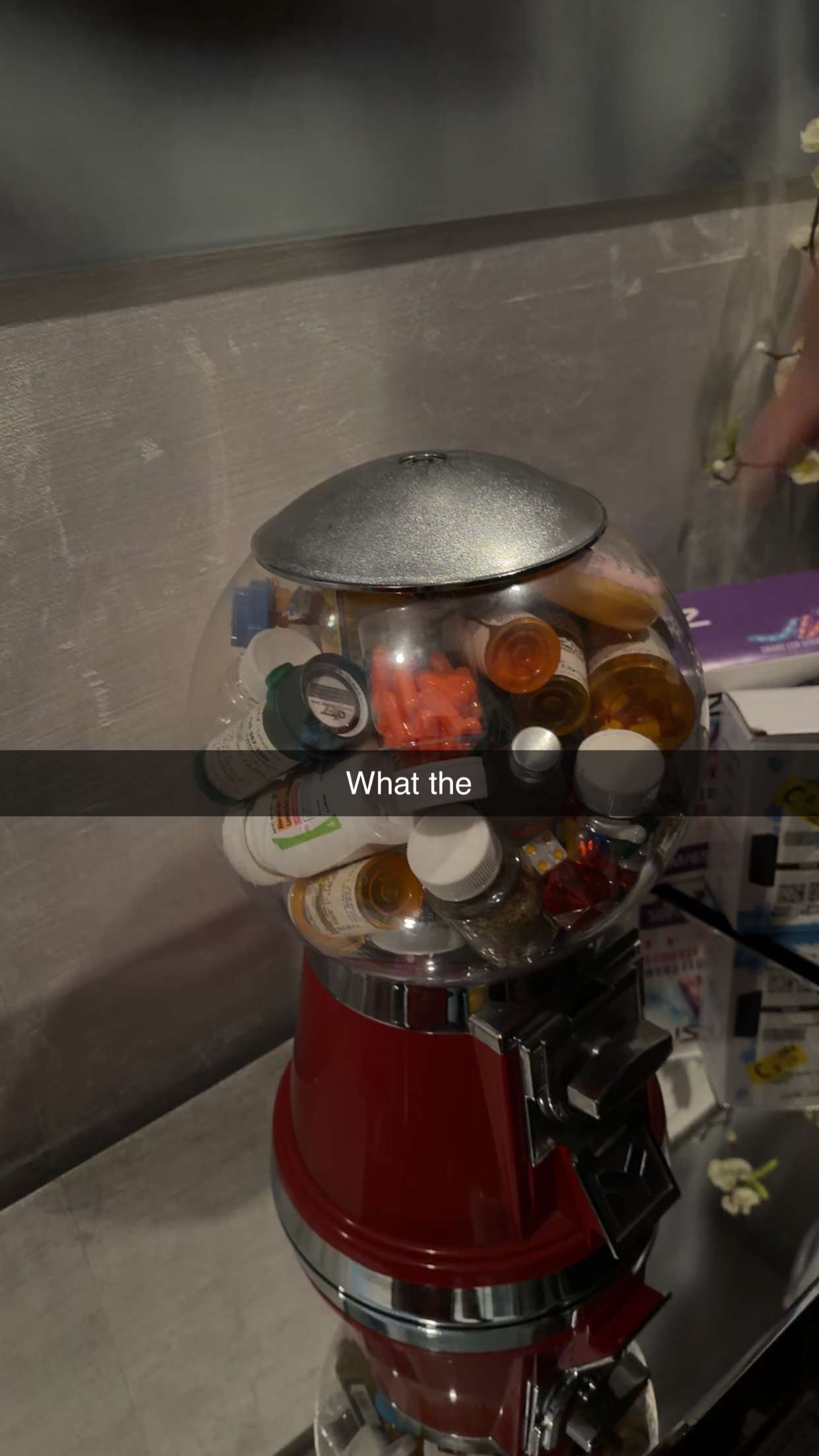 giselleramh snapchat image archive image