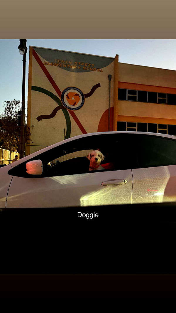 giselleramh image ~ Altpins