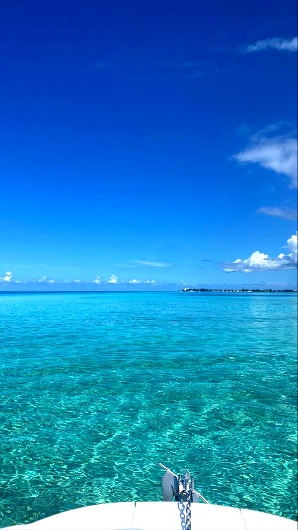 graceboor image ~ Altpins