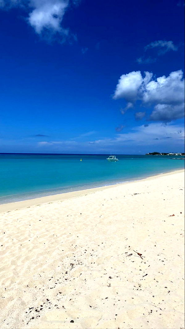 graceboor image ~ Altpins