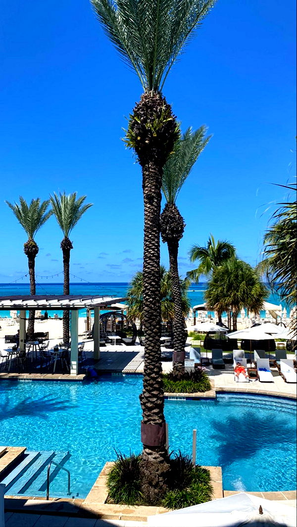 graceboor image ~ Altpins