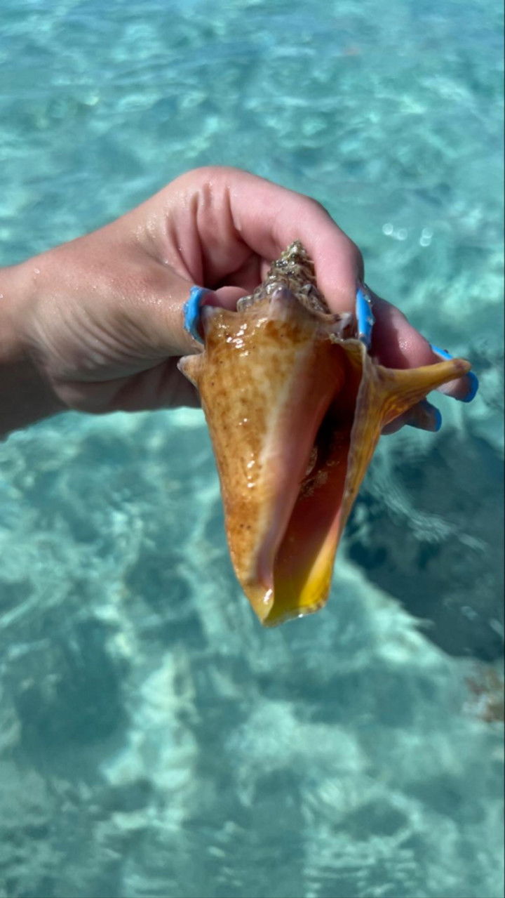 graceboor snapchat image archive image