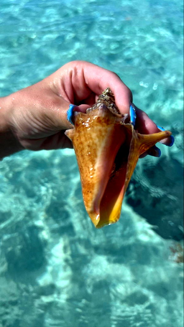 graceboor image ~ Altpins