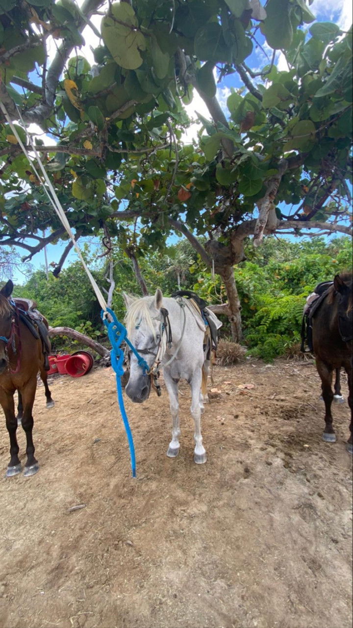 graceboor snapchat image archive image