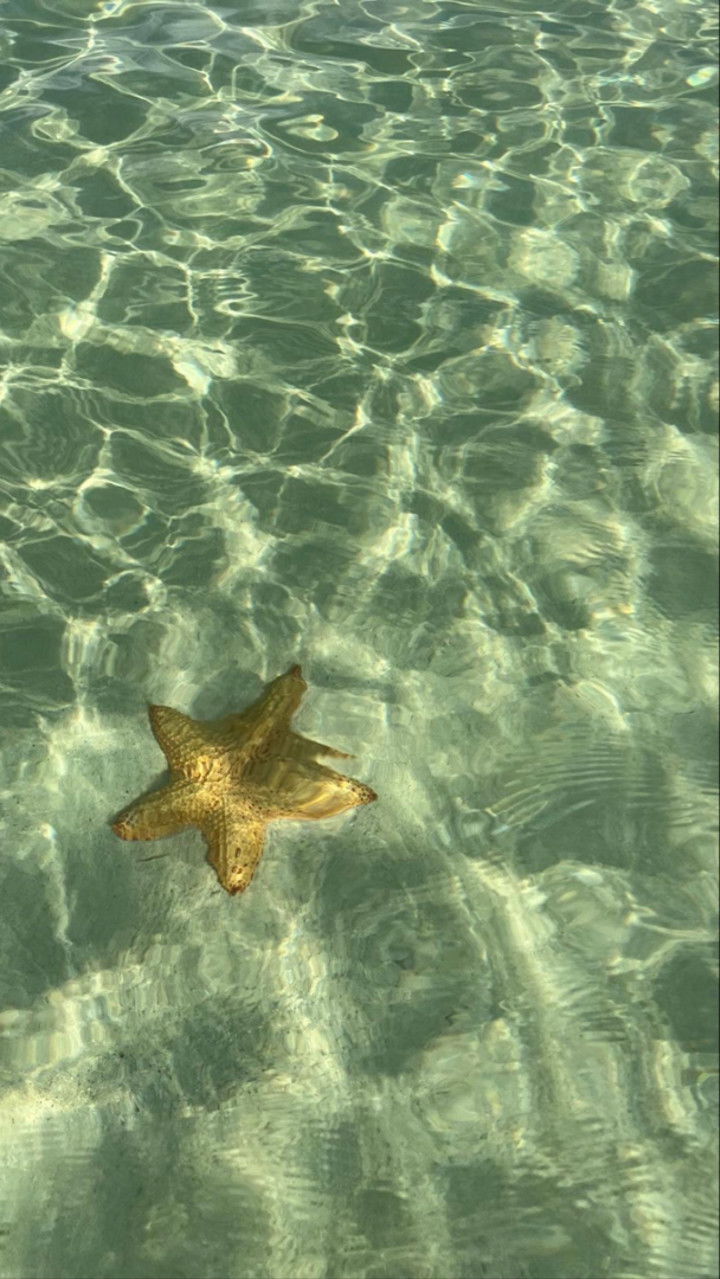 graceboor snapchat image archive image