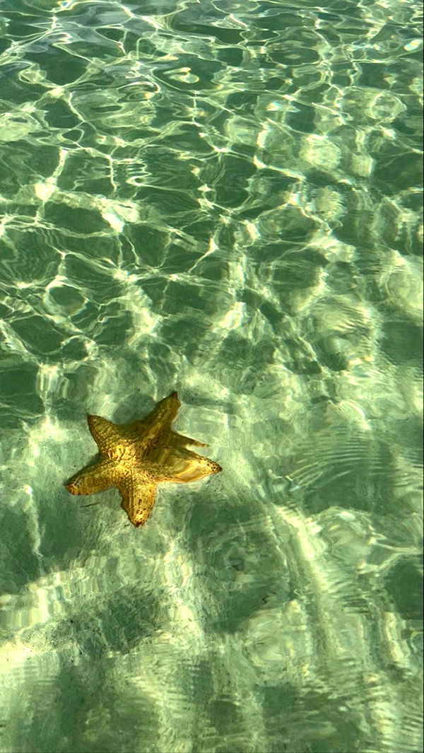 graceboor image ~ Altpins