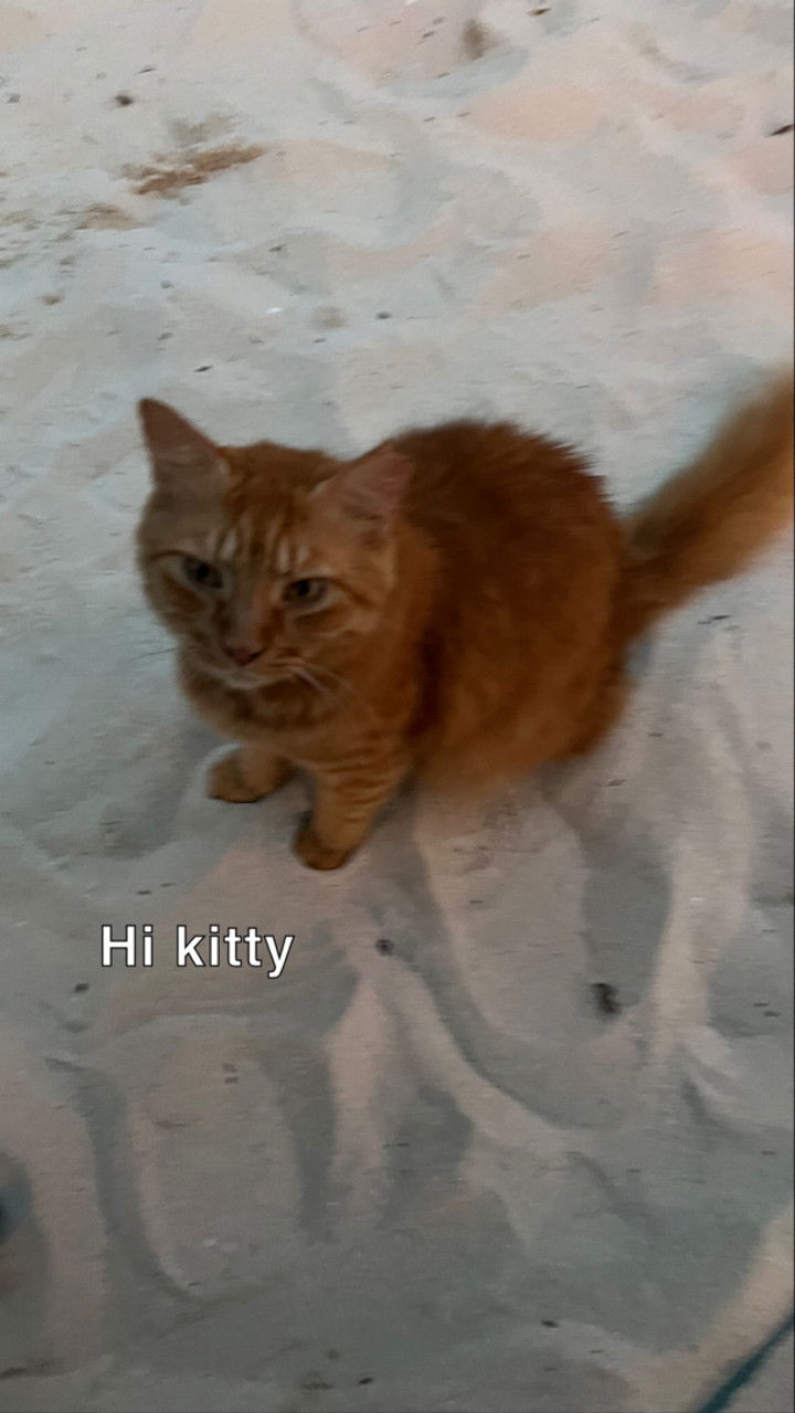 graceboor snapchat image archive image