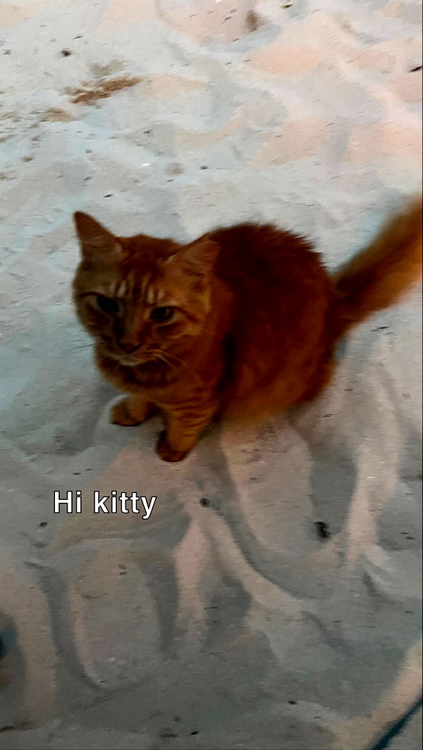 graceboor image ~ Altpins