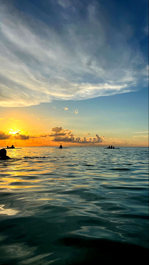 graceboor image ~ Altpins