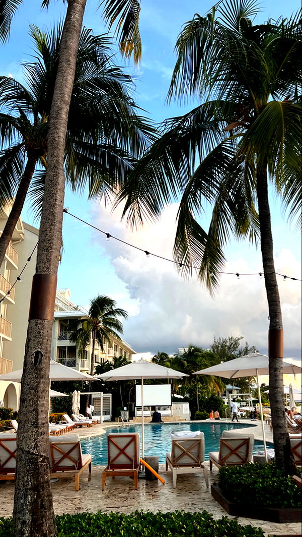 graceboor image ~ Altpins