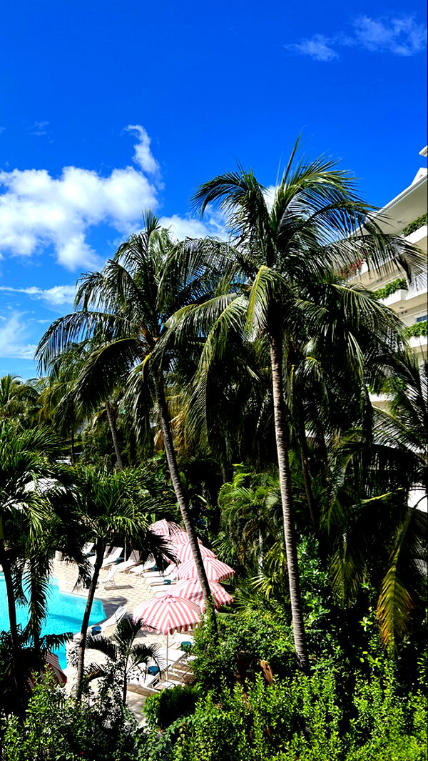 graceboor image ~ Altpins