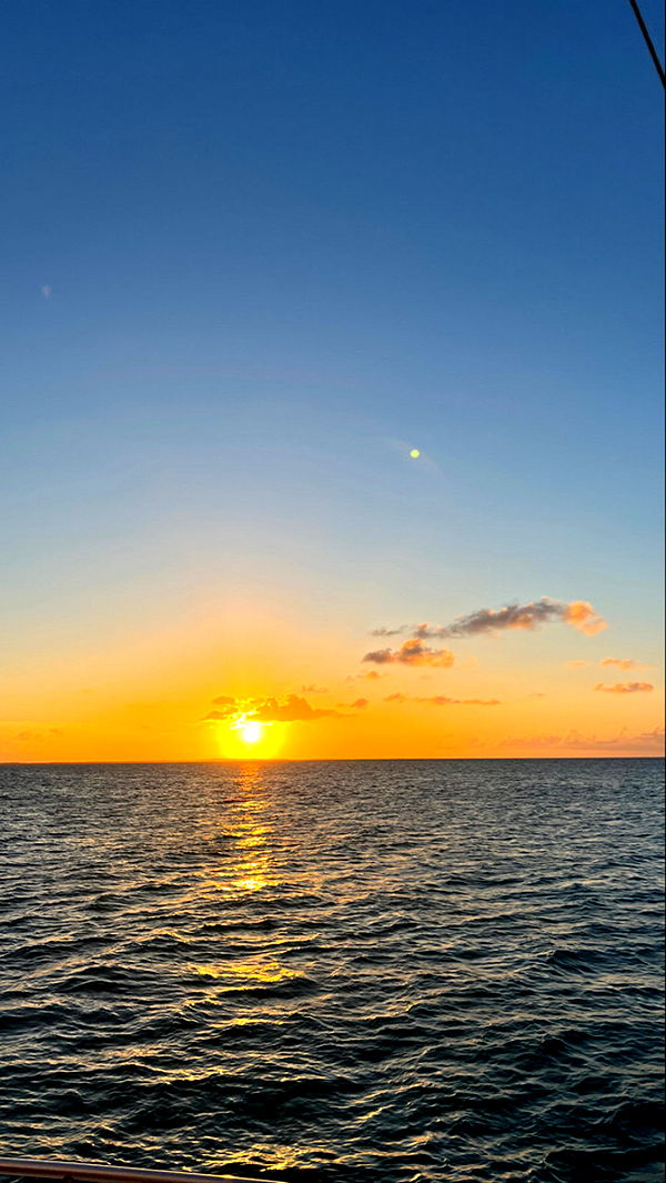 graceboor image ~ Altpins