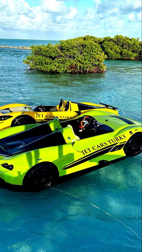 graceboor image ~ Altpins