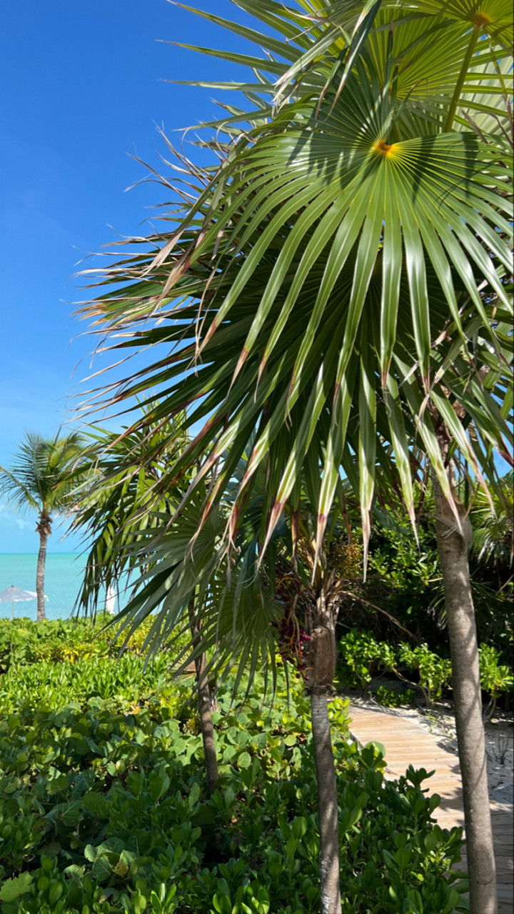 graceboor snapchat image archive image