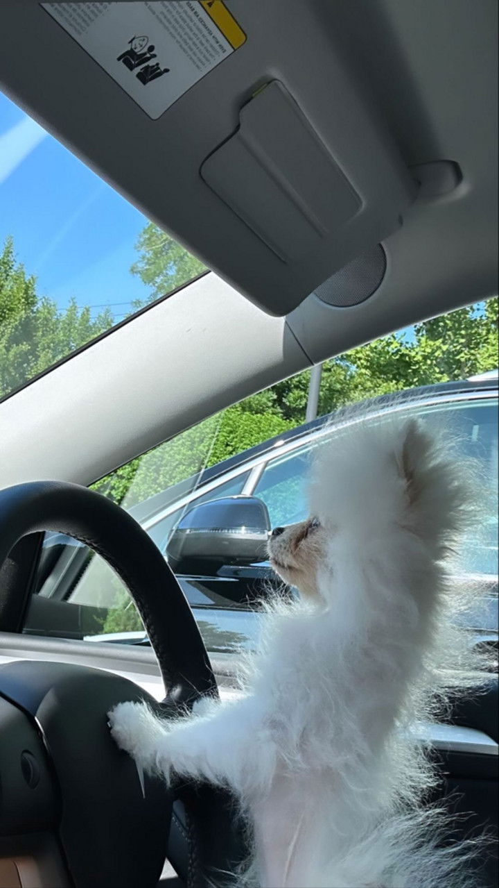 graceboor snapchat image archive image