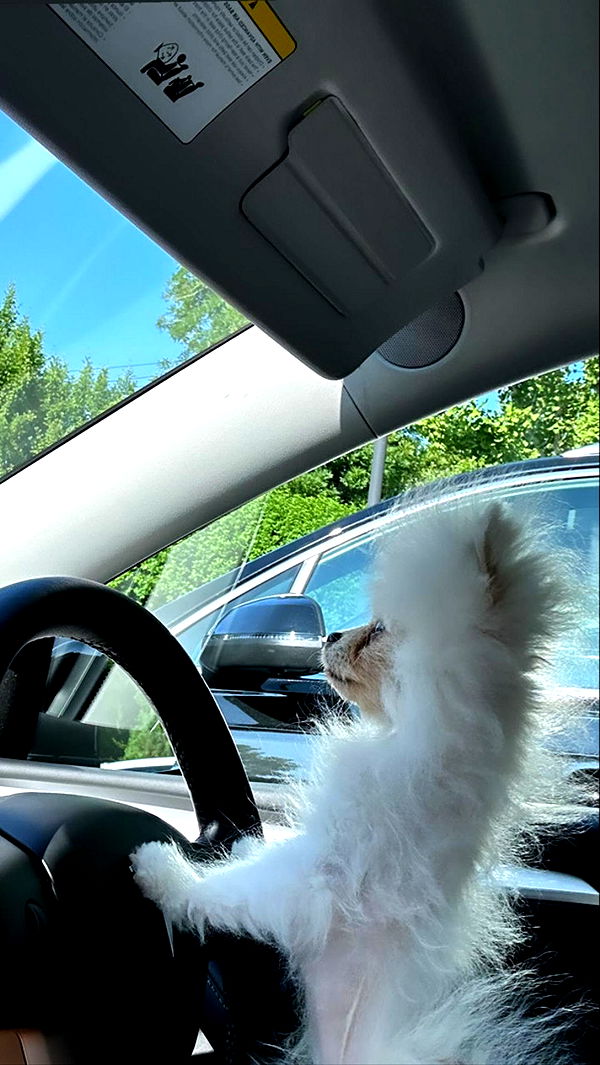 graceboor image ~ Altpins