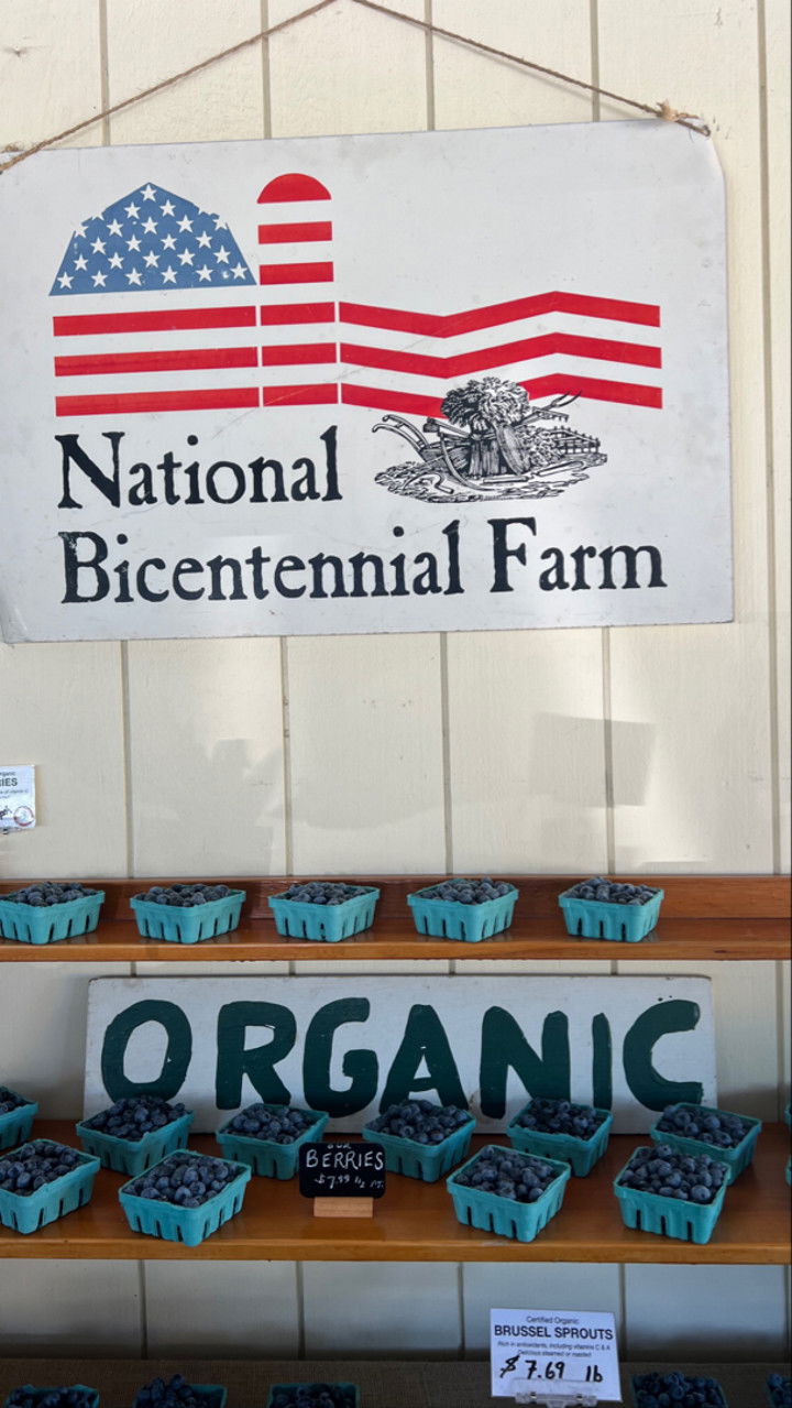 graceboor snapchat image archive image