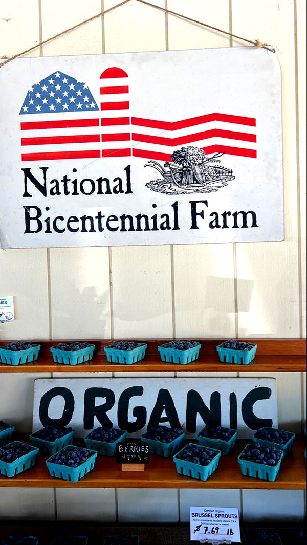 graceboor image ~ Altpins