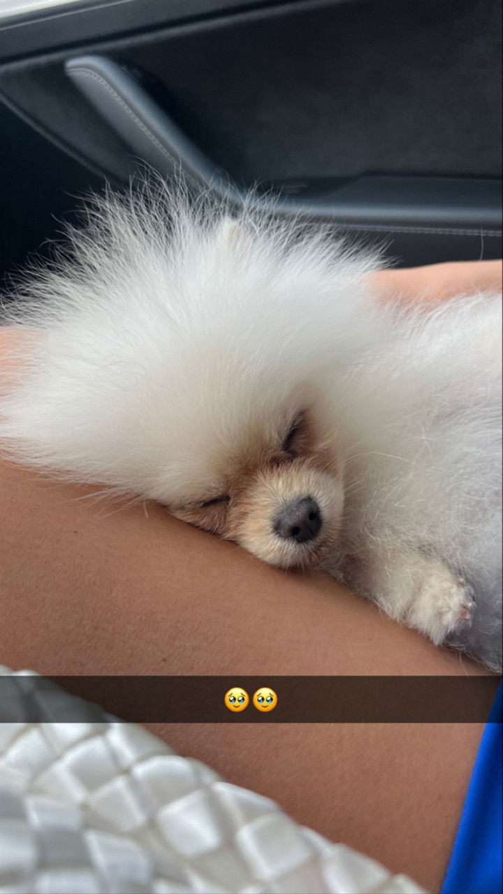 graceboor snapchat image archive image