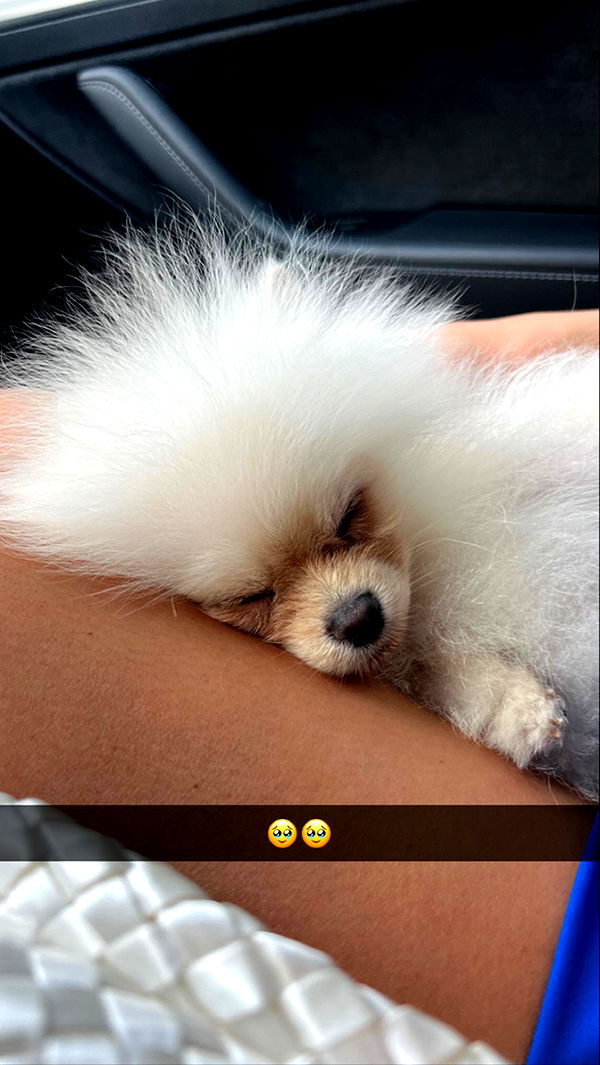 graceboor image ~ Altpins