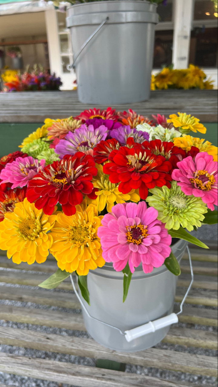 graceboor snapchat image archive image