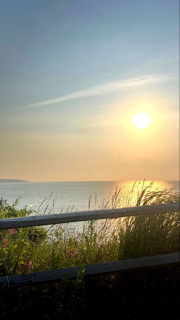 graceboor image ~ Altpins