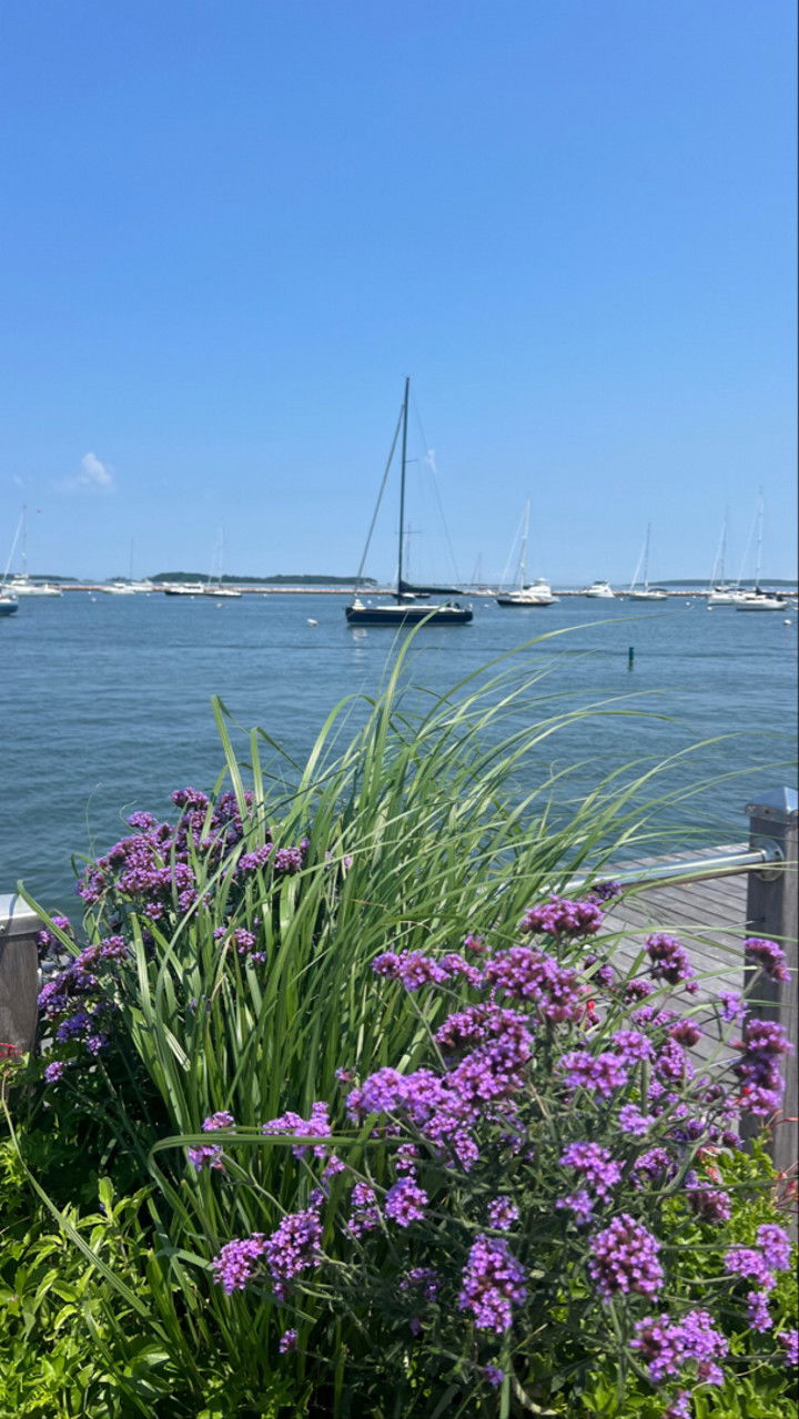 graceboor snapchat image archive image