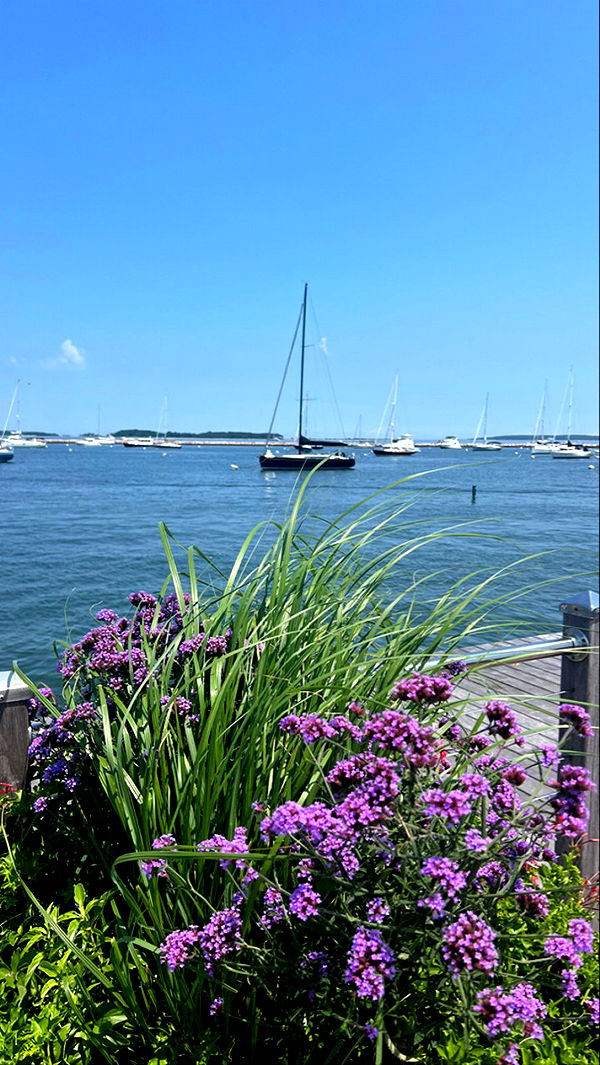 graceboor image ~ Altpins