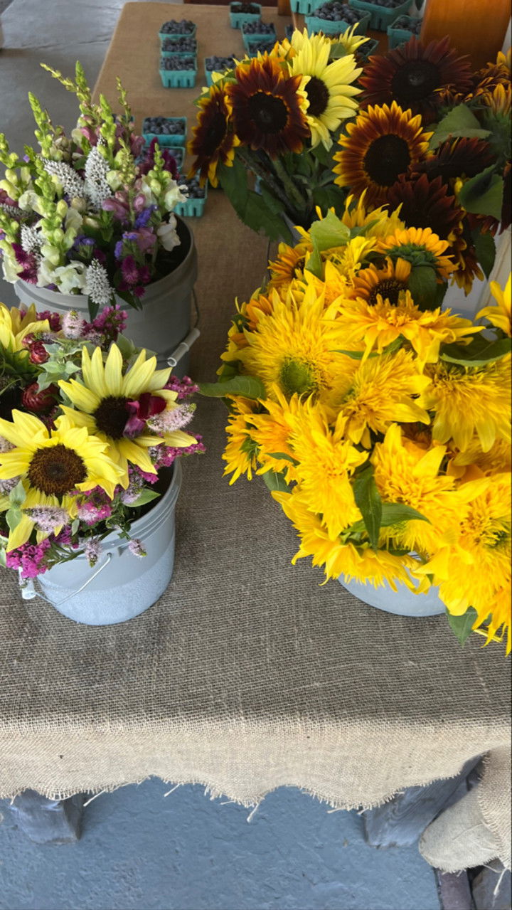 graceboor snapchat image archive image