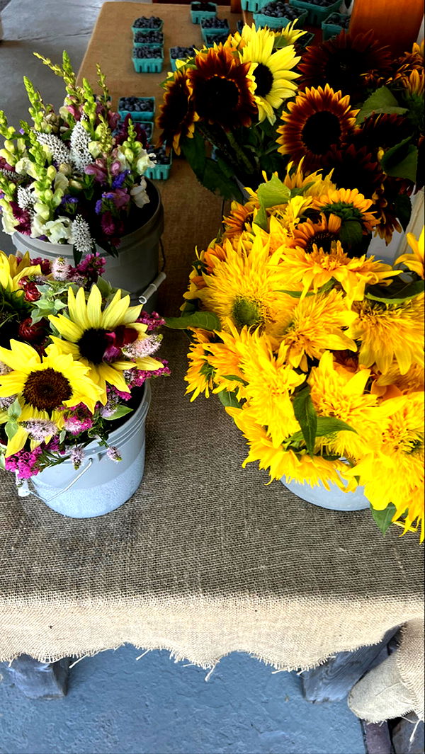 graceboor image ~ Altpins