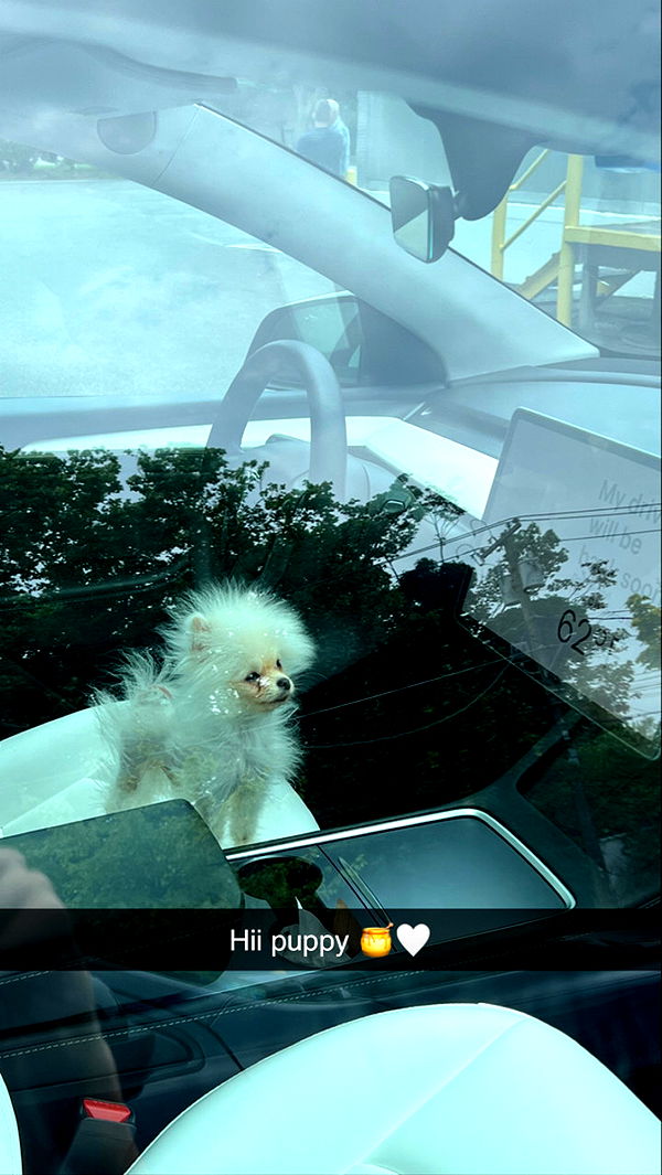 graceboor image ~ Altpins