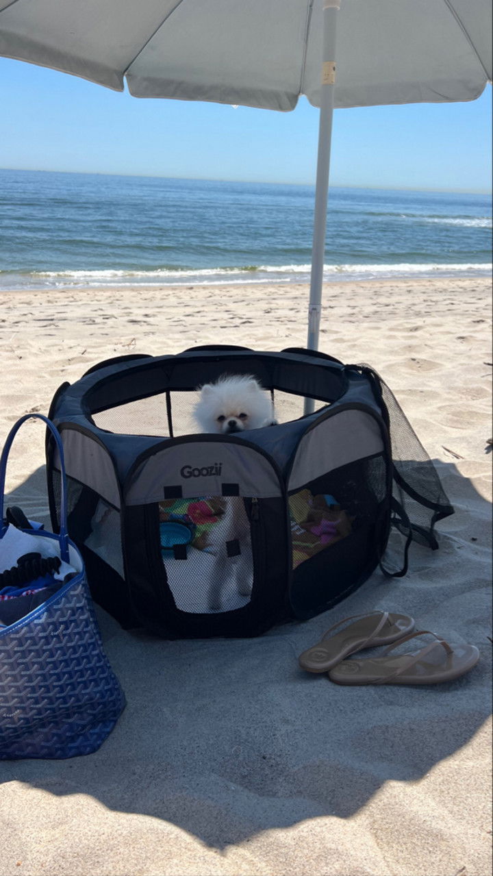 graceboor snapchat image archive image