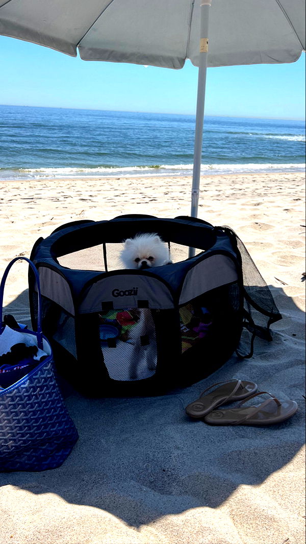 graceboor image ~ Altpins